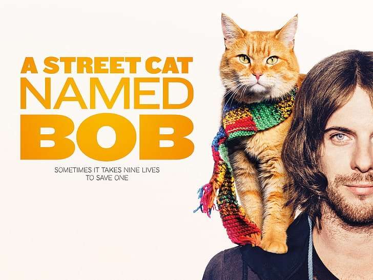 A-Street-Cat-Named-Bob-Feature